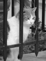 IMG_5309 (Copier).JPG